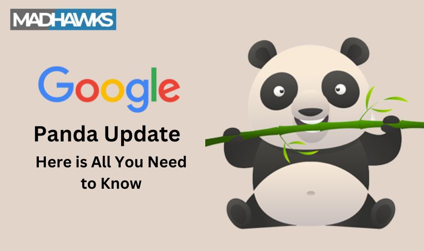 Google Panda Update: Here is All You Need to Know